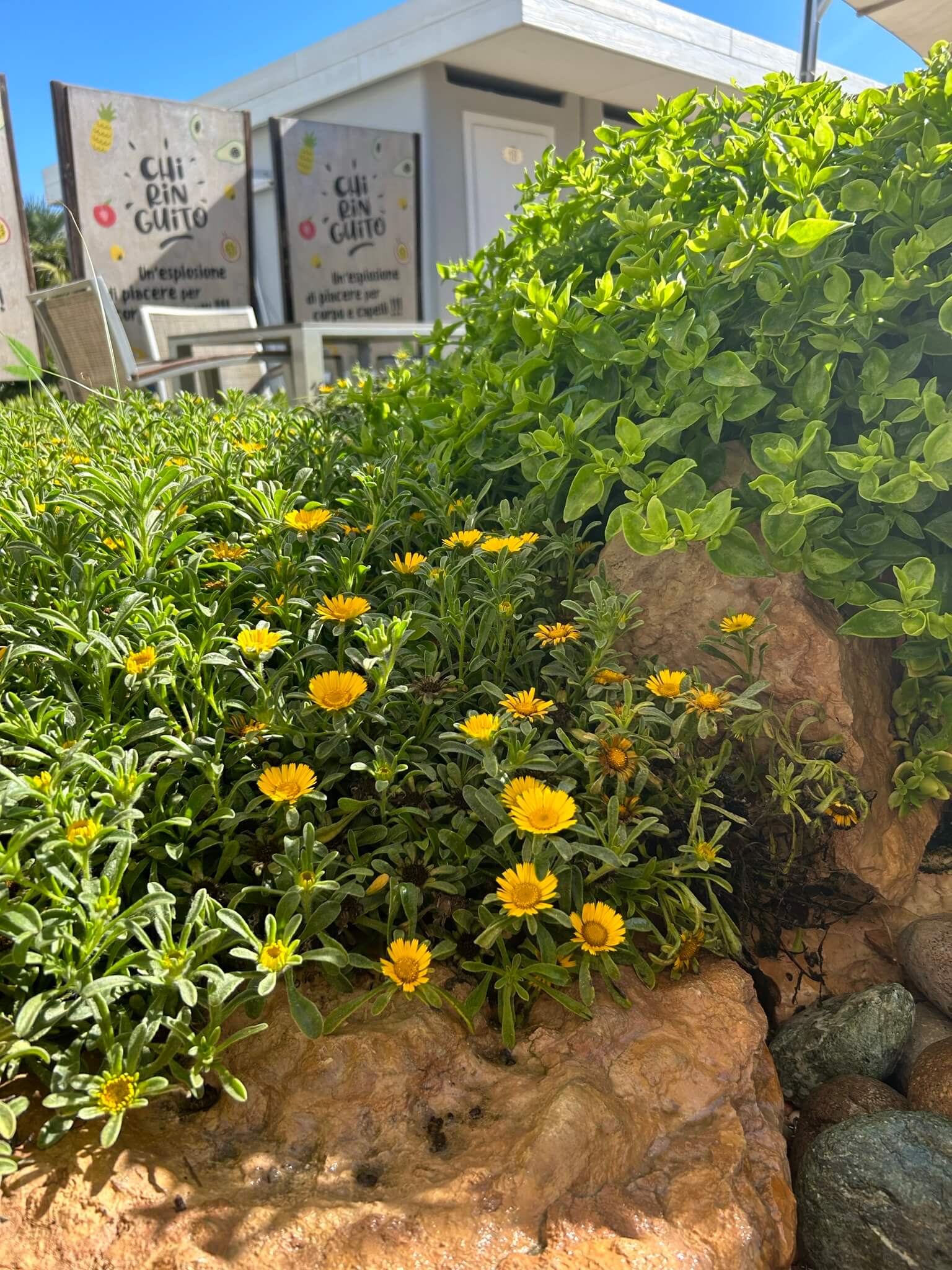 Cascata fiori